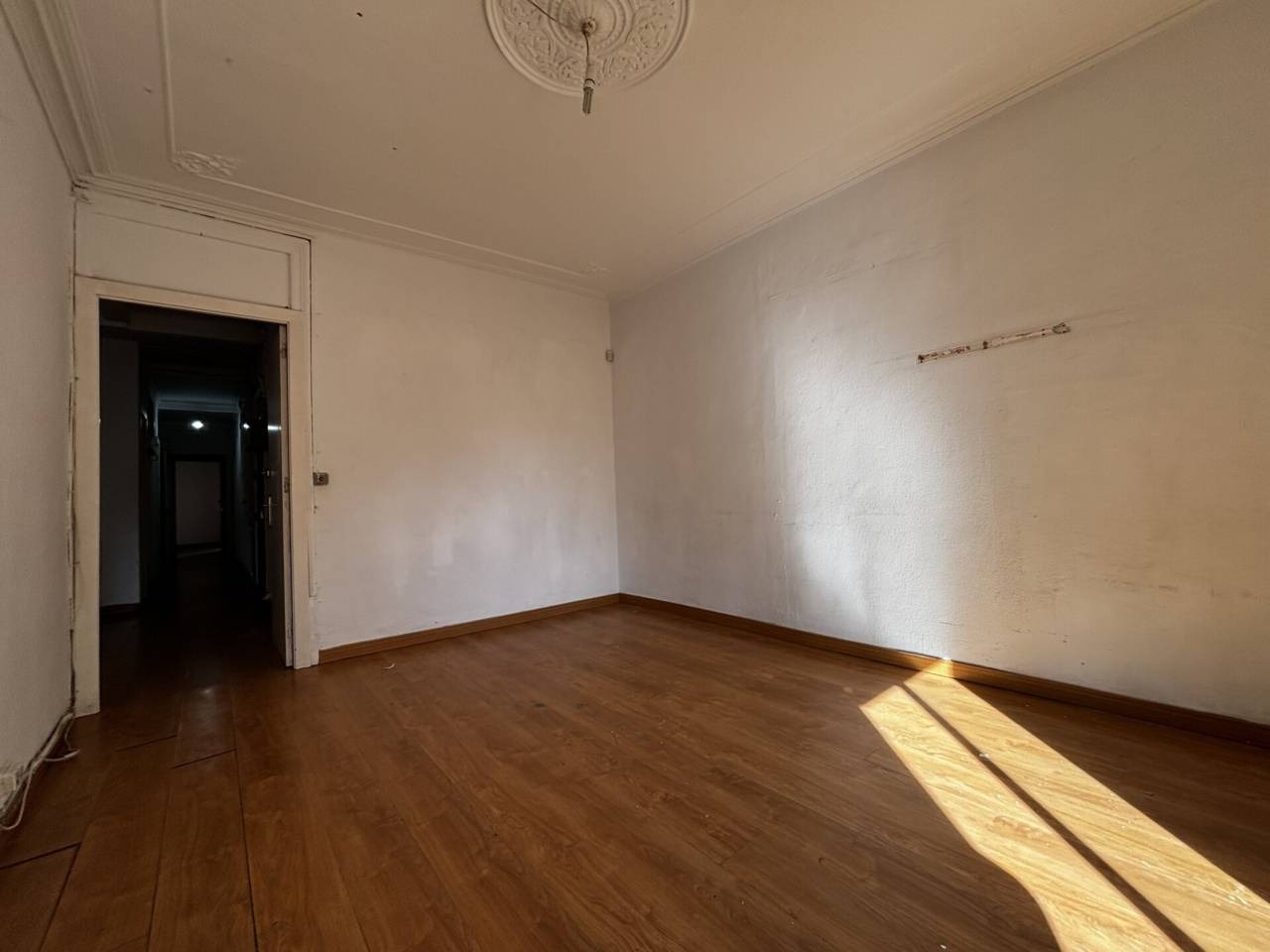 imgi_10_525584_61725465073_5_20260216140438522