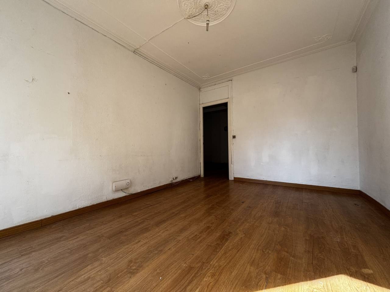 imgi_11_525584_61725465073_6_20260216140439819