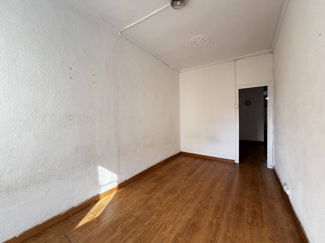 imgi_13_525584_61725465073_8_20260216140443101