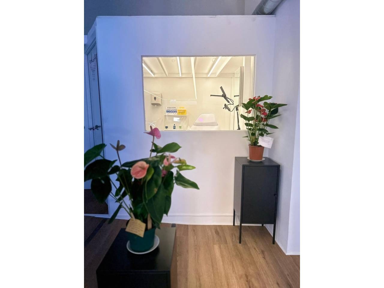 imgi_16_525584_49253380974_11_20241120224247575