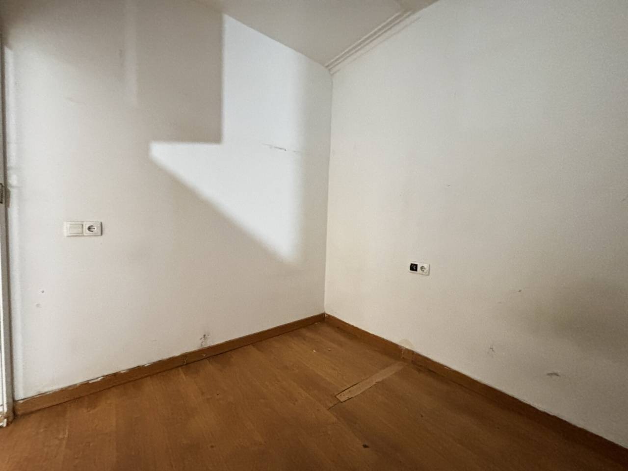 imgi_26_525584_61725465073_21_20260216140510937