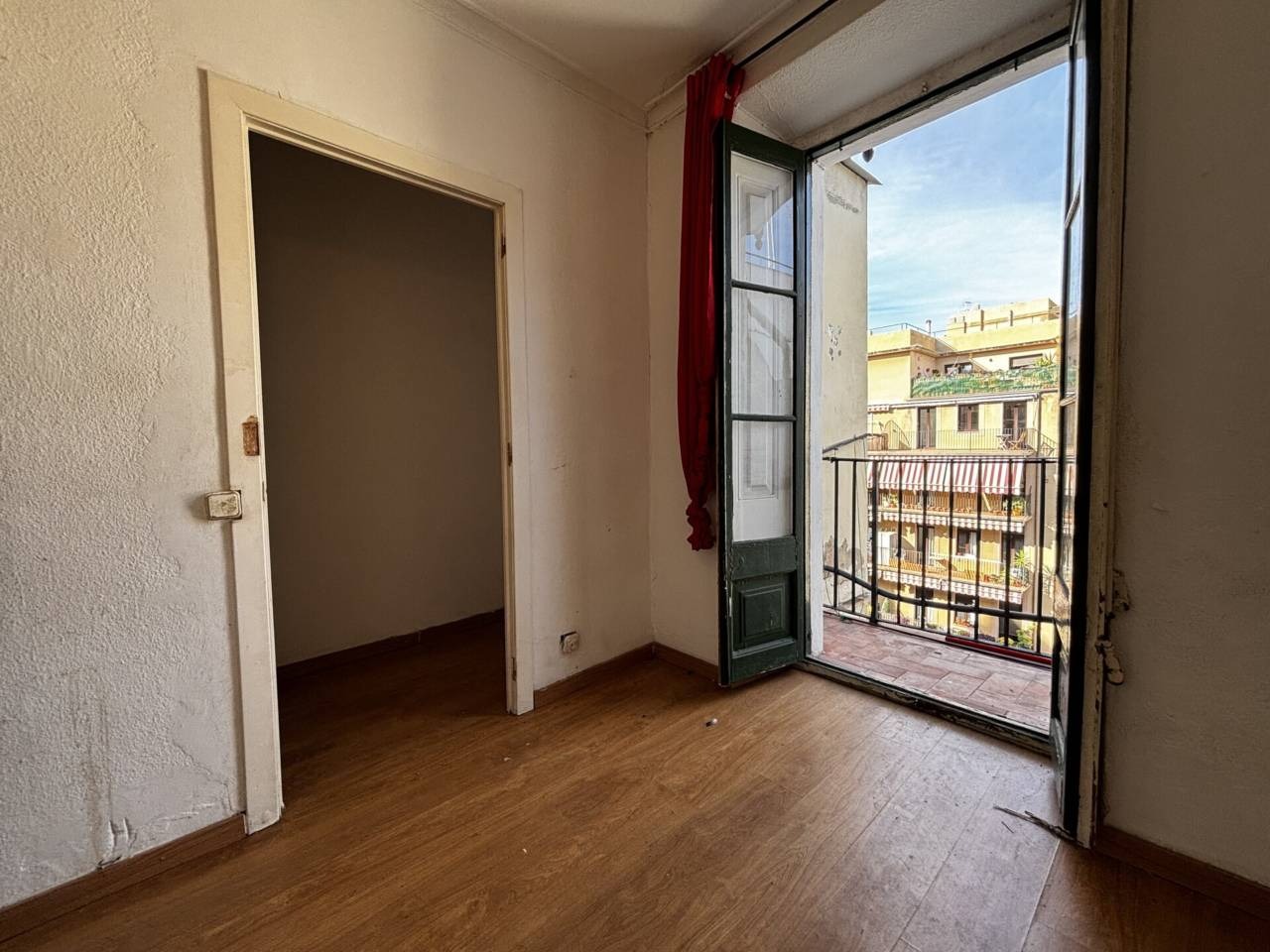 imgi_29_525584_61725465073_24_20260216140516860