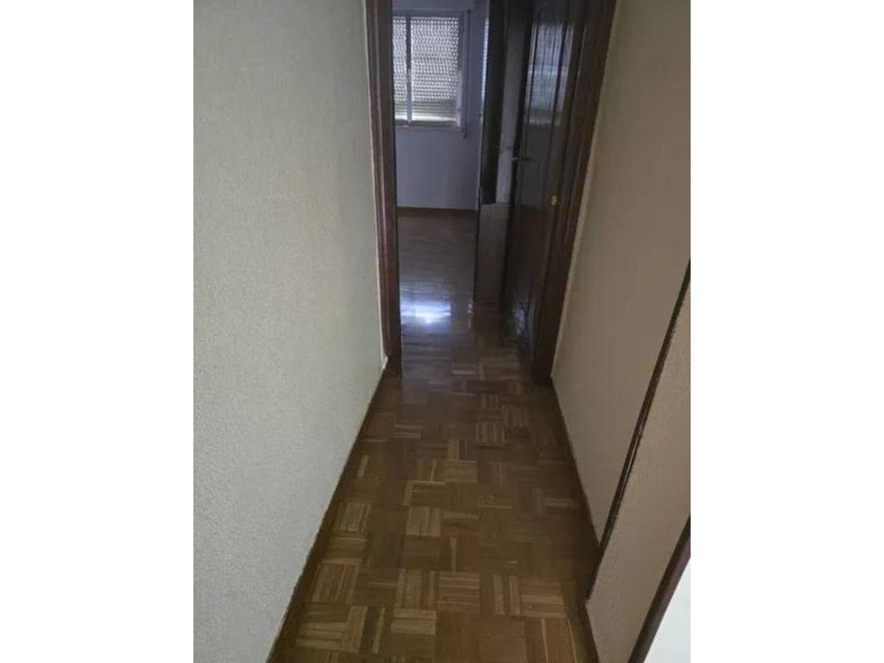 imgi_31_525584_61689752173_26_20260225160811420