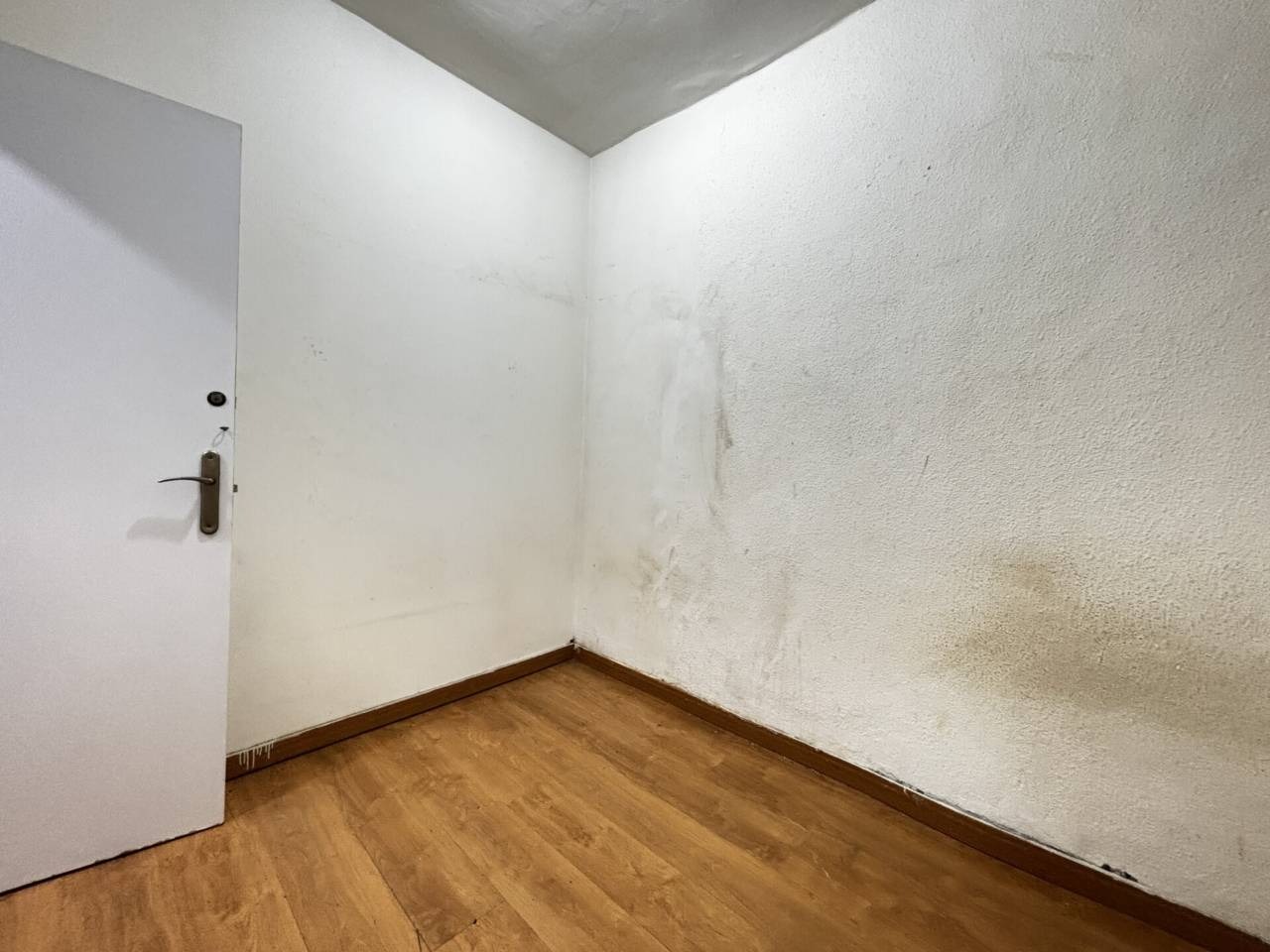 imgi_31_525584_61725465073_26_20260216140520925