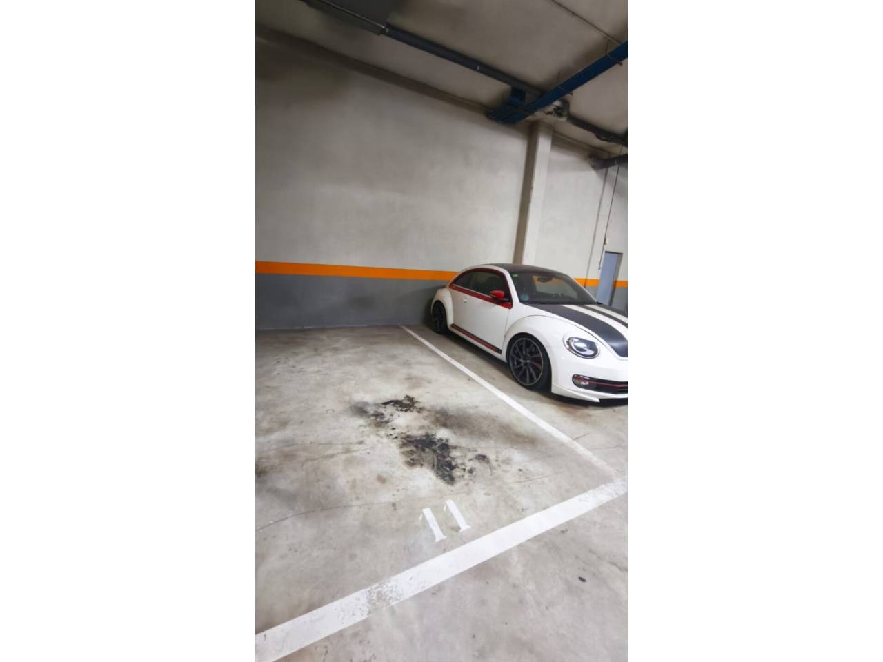 imgi_35_525584_62595476150_30_20260315103307295