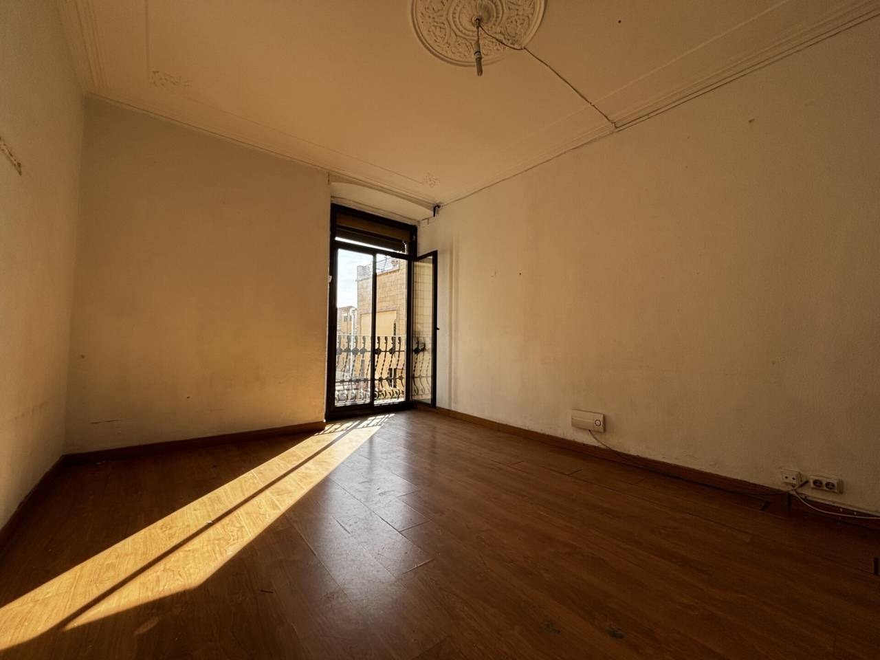 imgi_9_525584_61725465073_4_20260216140436990